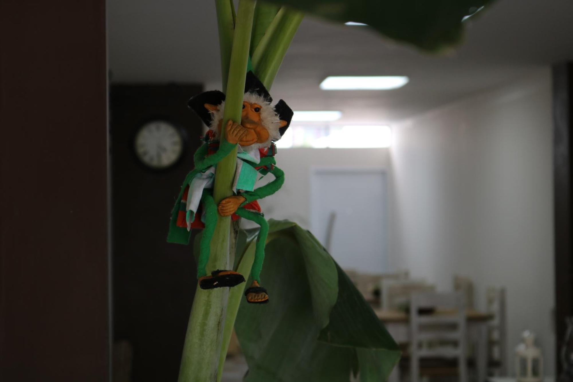 Hotel Quebrachales 산살바도르 드 쥬쥬이 외부 사진